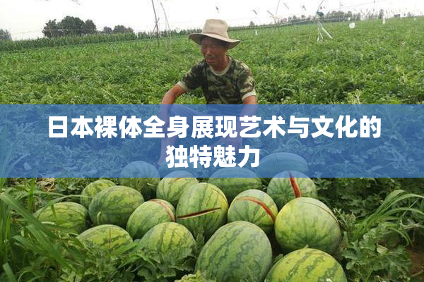 日本裸体全身展现艺术与文化的独特魅力