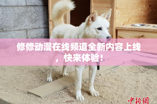 修修动漫在线频道全新内容上线，快来体验！