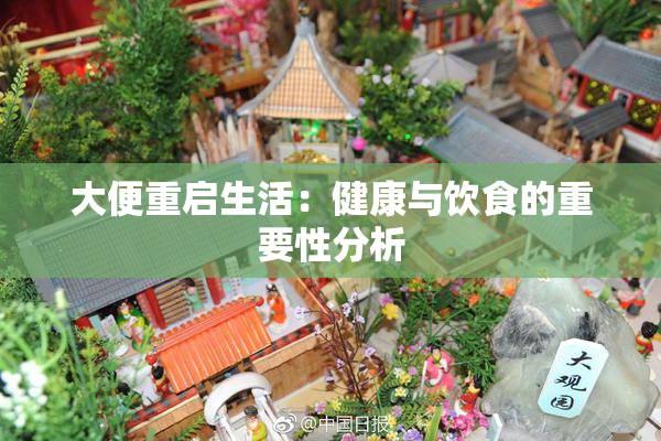 大便重启生活：健康与饮食的重要性分析