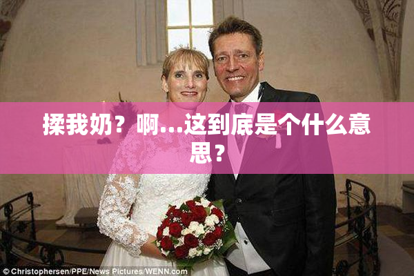 揉我奶？啊…这到底是个什么意思？