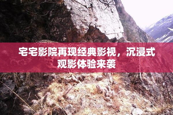 宅宅影院再现经典影视，沉浸式观影体验来袭