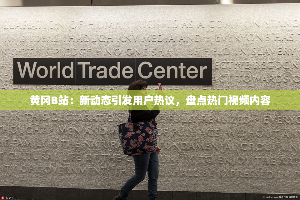 黄冈B站：新动态引发用户热议，盘点热门视频内容