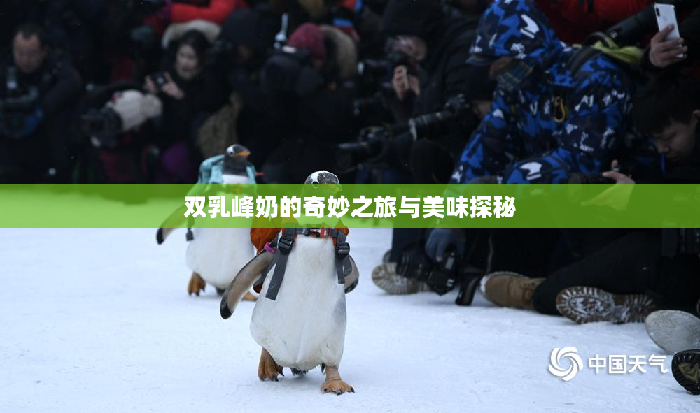 双乳峰奶的奇妙之旅与美味探秘