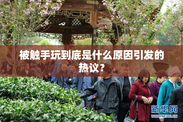 被触手玩到底是什么原因引发的热议？