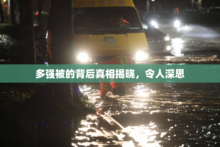 多强被的背后真相揭晓，令人深思