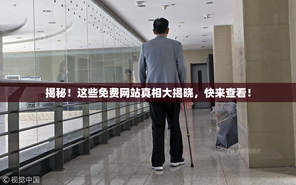 揭秘！这些免费网站真相大揭晓，快来查看！