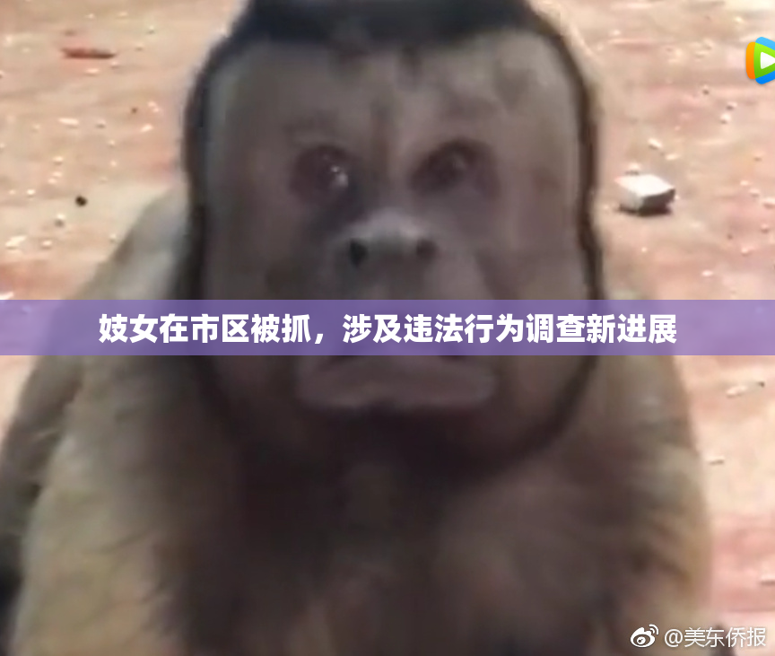 妓女在市区被抓，涉及违法行为调查新进展