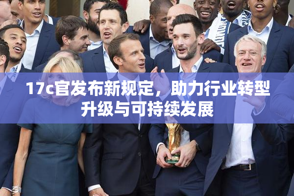 17c官发布新规定，助力行业转型升级与可持续发展