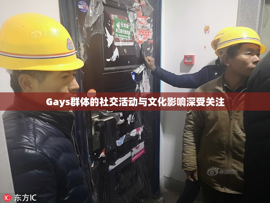 Gays群体的社交活动与文化影响深受关注