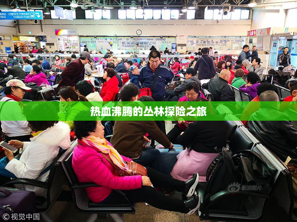 热血沸腾的丛林探险之旅