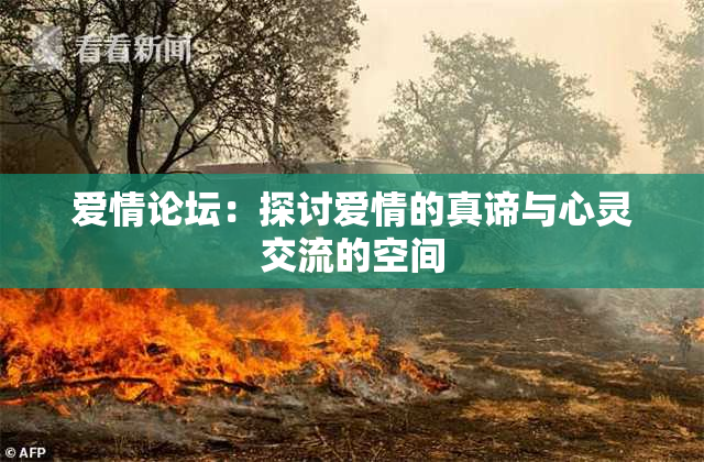 爱情论坛：探讨爱情的真谛与心灵交流的空间
