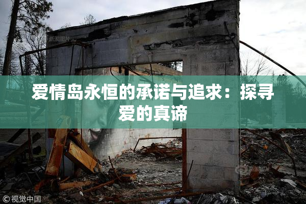 爱情岛永恒的承诺与追求：探寻爱的真谛