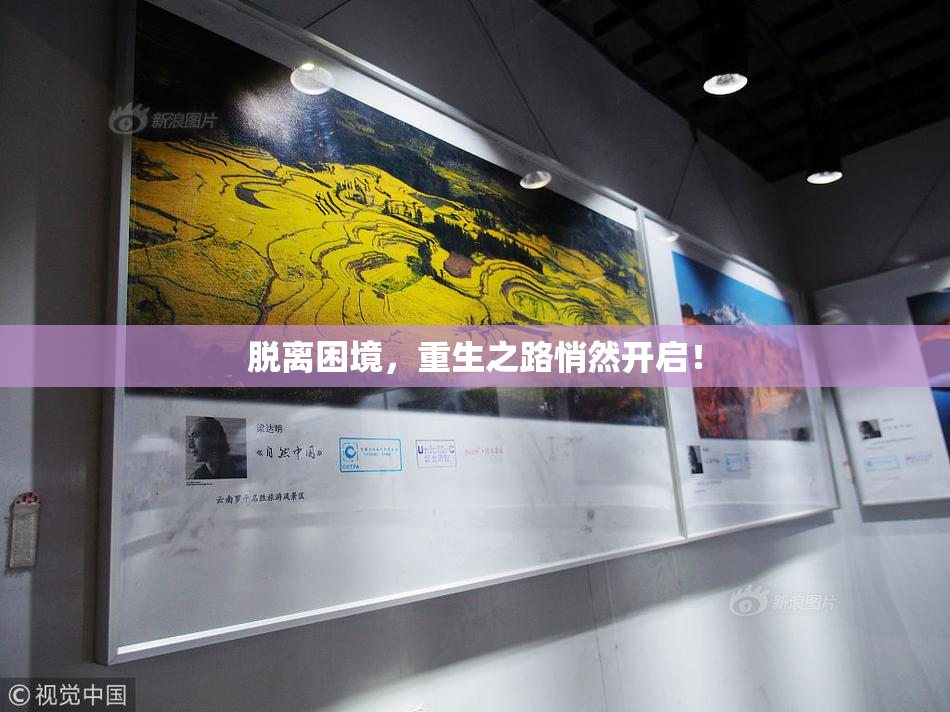 脱离困境，重生之路悄然开启！