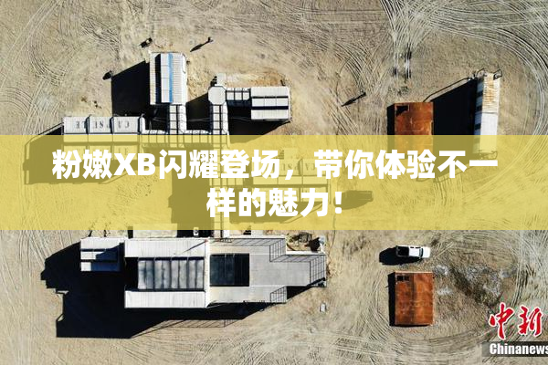 粉嫩XB闪耀登场，带你体验不一样的魅力！