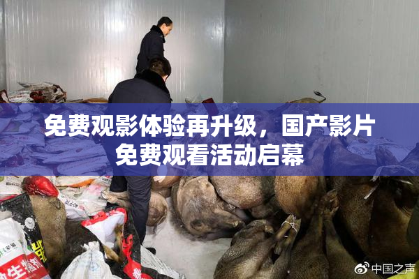免费观影体验再升级，国产影片免费观看活动启幕