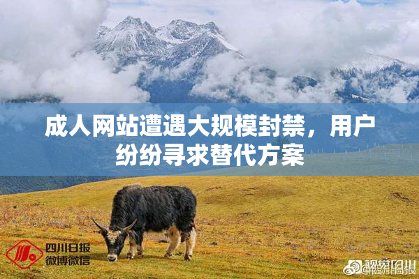 成人网站遭遇大规模封禁，用户纷纷寻求替代方案