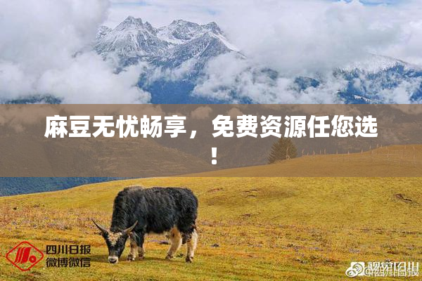 麻豆无忧畅享，免费资源任您选！