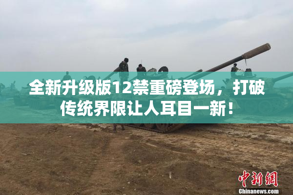 全新升级版12禁重磅登场，打破传统界限让人耳目一新！