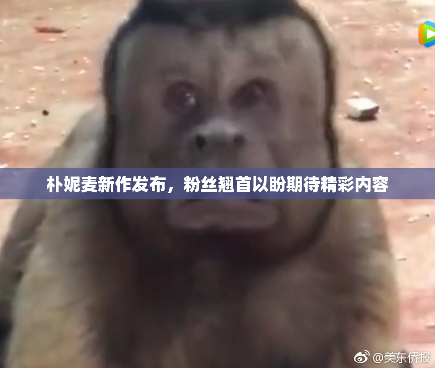朴妮麦新作发布，粉丝翘首以盼期待精彩内容