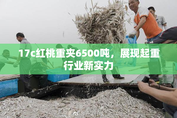 17c红桃重夹6500吨，展现起重行业新实力