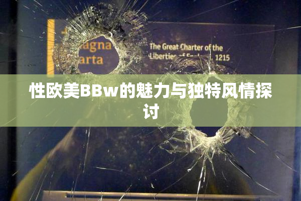性欧美BBw的魅力与独特风情探讨