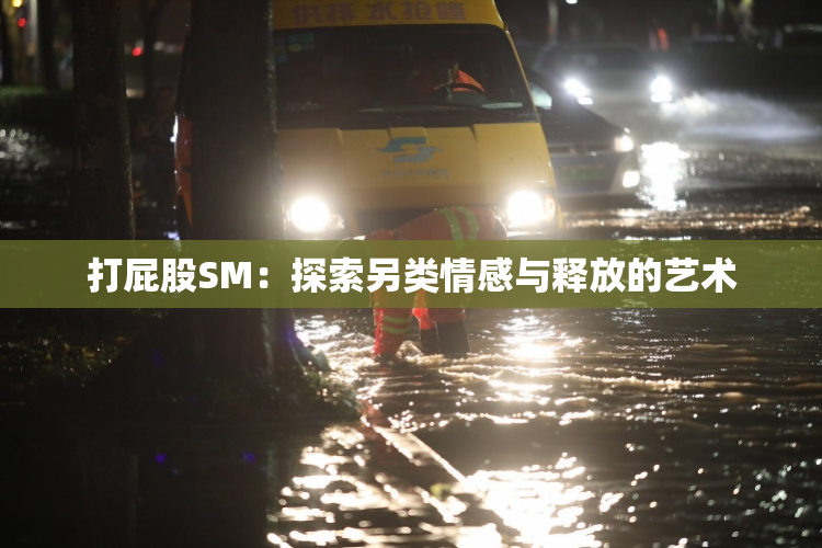 打屁股SM：探索另类情感与释放的艺术