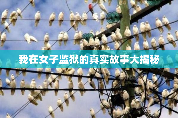 我在女子监狱的真实故事大揭秘