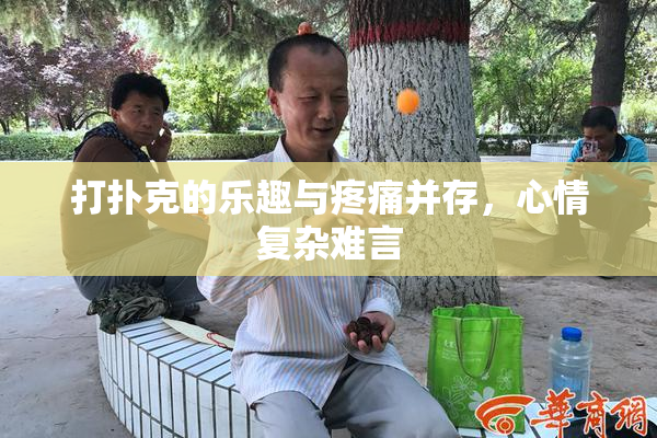 打扑克的乐趣与疼痛并存，心情复杂难言