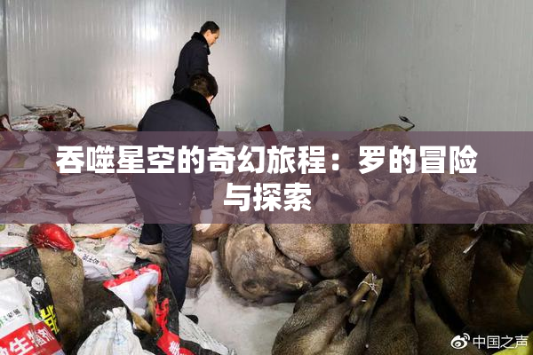 吞噬星空的奇幻旅程：罗的冒险与探索