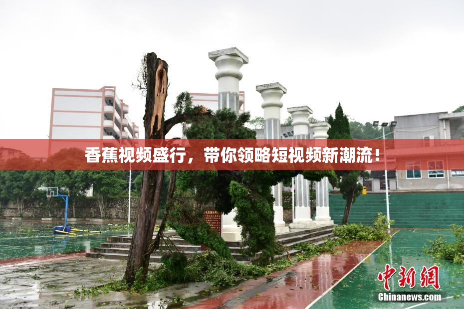 香蕉视频盛行，带你领略短视频新潮流！