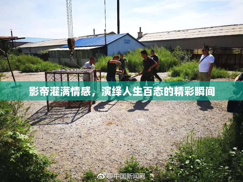 影帝灌满情感，演绎人生百态的精彩瞬间
