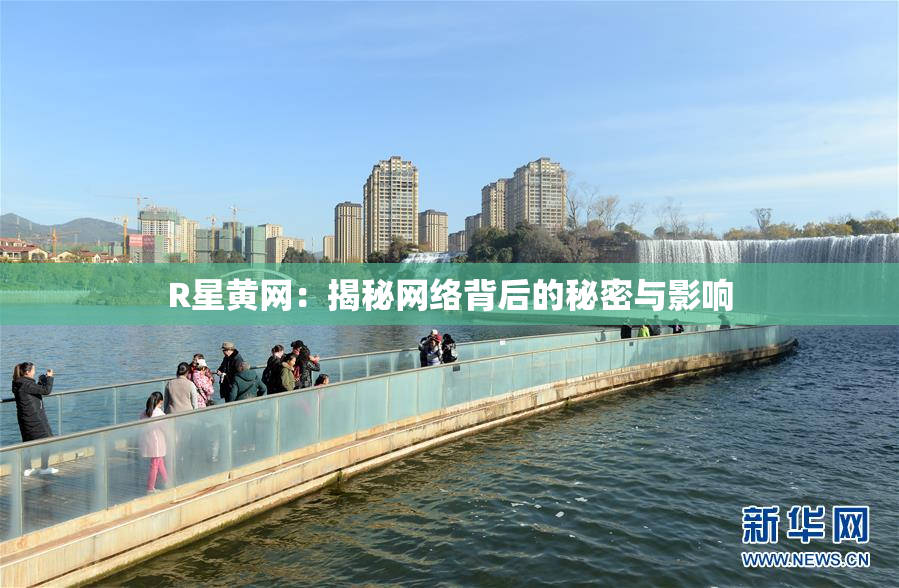 R星黄网：揭秘网络背后的秘密与影响