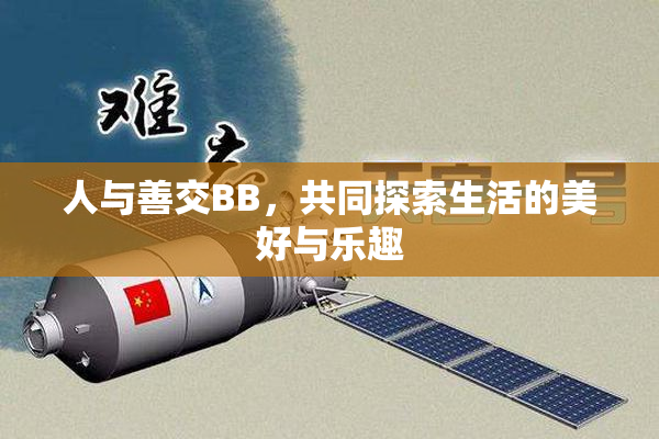 人与善交BB，共同探索生活的美好与乐趣