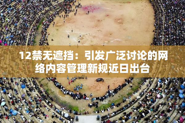 12禁无遮挡：引发广泛讨论的网络内容管理新规近日出台