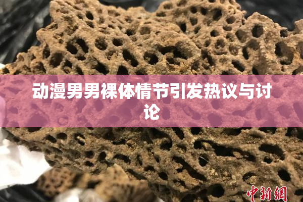 动漫男男裸体情节引发热议与讨论
