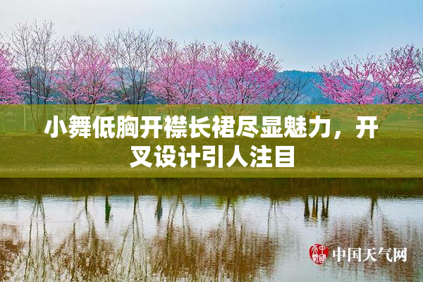 小舞低胸开襟长裙尽显魅力，开叉设计引人注目