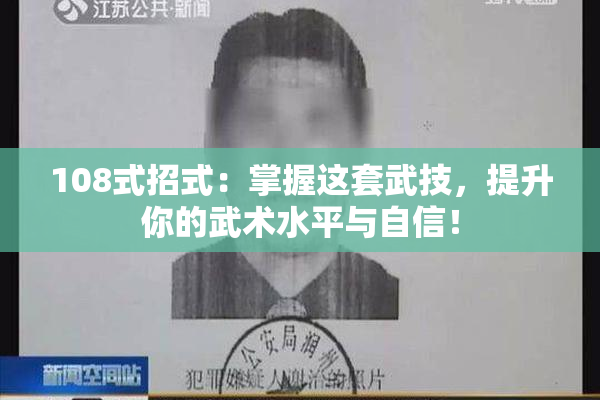 108式招式：掌握这套武技，提升你的武术水平与自信！