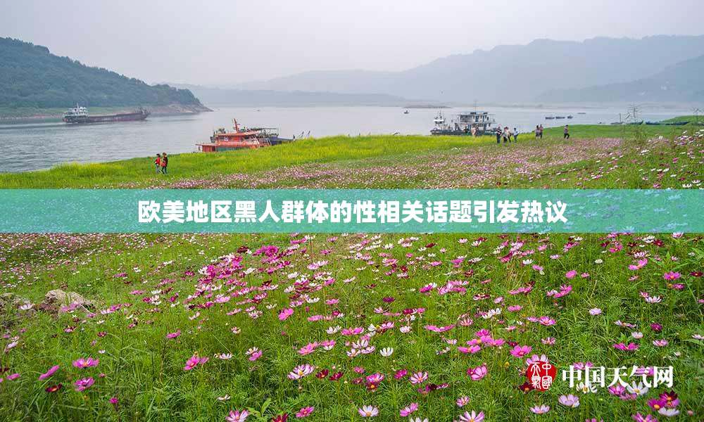 欧美地区黑人群体的性相关话题引发热议