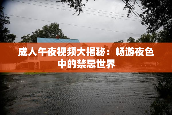 成人午夜视频大揭秘：畅游夜色中的禁忌世界