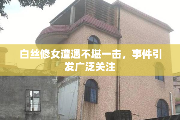 白丝修女遭遇不堪一击，事件引发广泛关注
