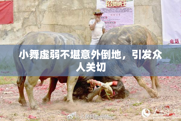 小舞虚弱不堪意外倒地，引发众人关切