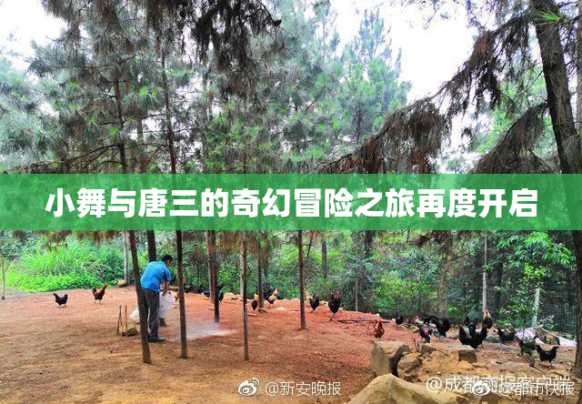 小舞与唐三的奇幻冒险之旅再度开启