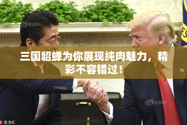 三国貂蝉为你展现纯肉魅力，精彩不容错过！