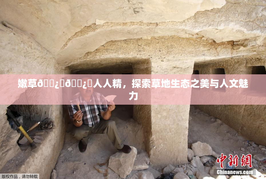 嫩草🌿‌🌿‌人人精，探索草地生态之美与人文魅力