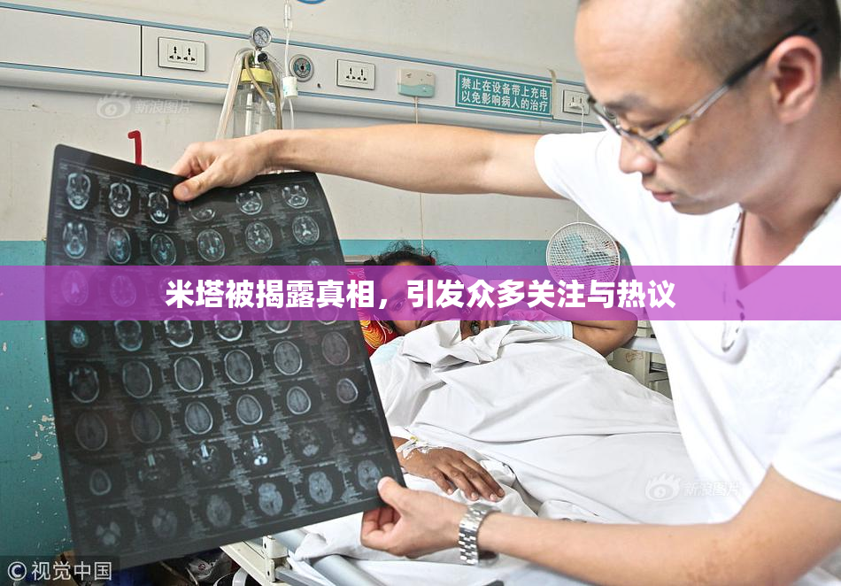 米塔被揭露真相，引发众多关注与热议