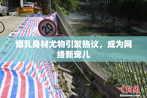 爆乳身材尤物引发热议，成为网络新宠儿