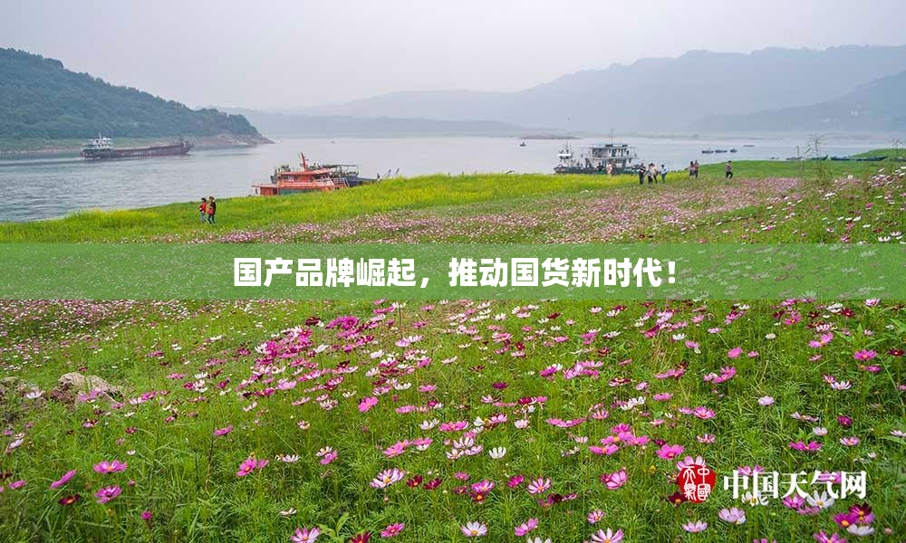 国产品牌崛起，推动国货新时代！