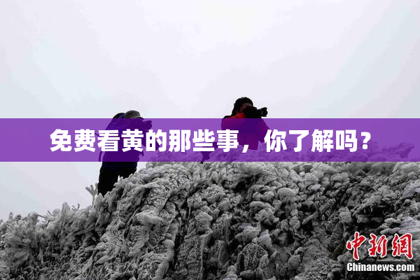 免费看黄的那些事，你了解吗？