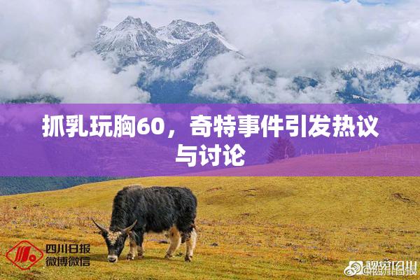 抓乳玩胸60，奇特事件引发热议与讨论