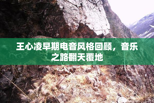 王心凌早期电音风格回顾，音乐之路翻天覆地